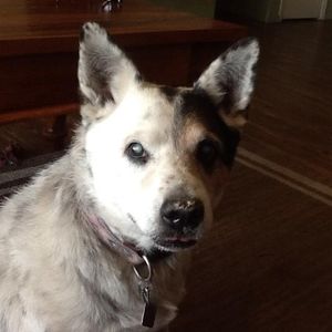 Meet your Posher, Jim